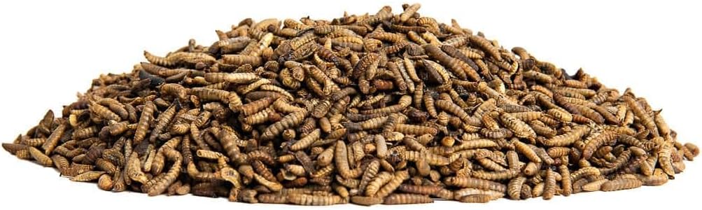 Small Pet Select Grub Bugs, Black Soldier Fly Larvae, Non-GMO, Locally Sourced PNW, 2 lb (Pack of 2)