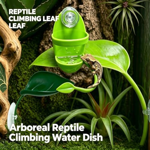 4 Pack Reptile Leaf Perch & Suction Water Dish for Crested Gecko Tree Frog