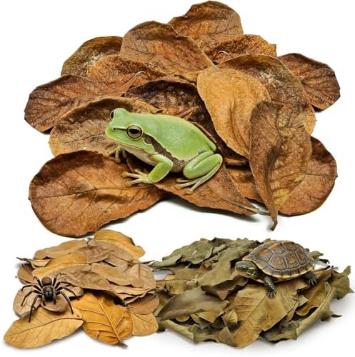 120PCS Dry Oak Leaf Litter Substrate Terrarium Bedding for Reptiles