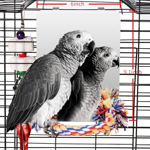 9" Bird Mirror for Cage, Large