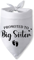 Promoted to Big Sister Pregnancy Announcement Dog Bandana Baby Gender Reveal by PwrlveiutforYou