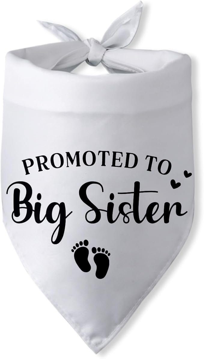 Promoted to Big Sister Pregnancy Announcement Dog Bandana Baby Gender Reveal by PwrlveiutforYou