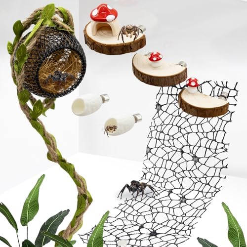 Jumping Spider Habitat Accessories Enclosure Habitat Accessories Jumping Spider Web Climbing and Feeding Platforms with Magnets for Small Insects Critters
