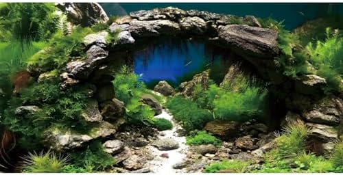 72x24 in Arch Stone Aquarium Backdrop Aquatic Plant Fish Tank Background