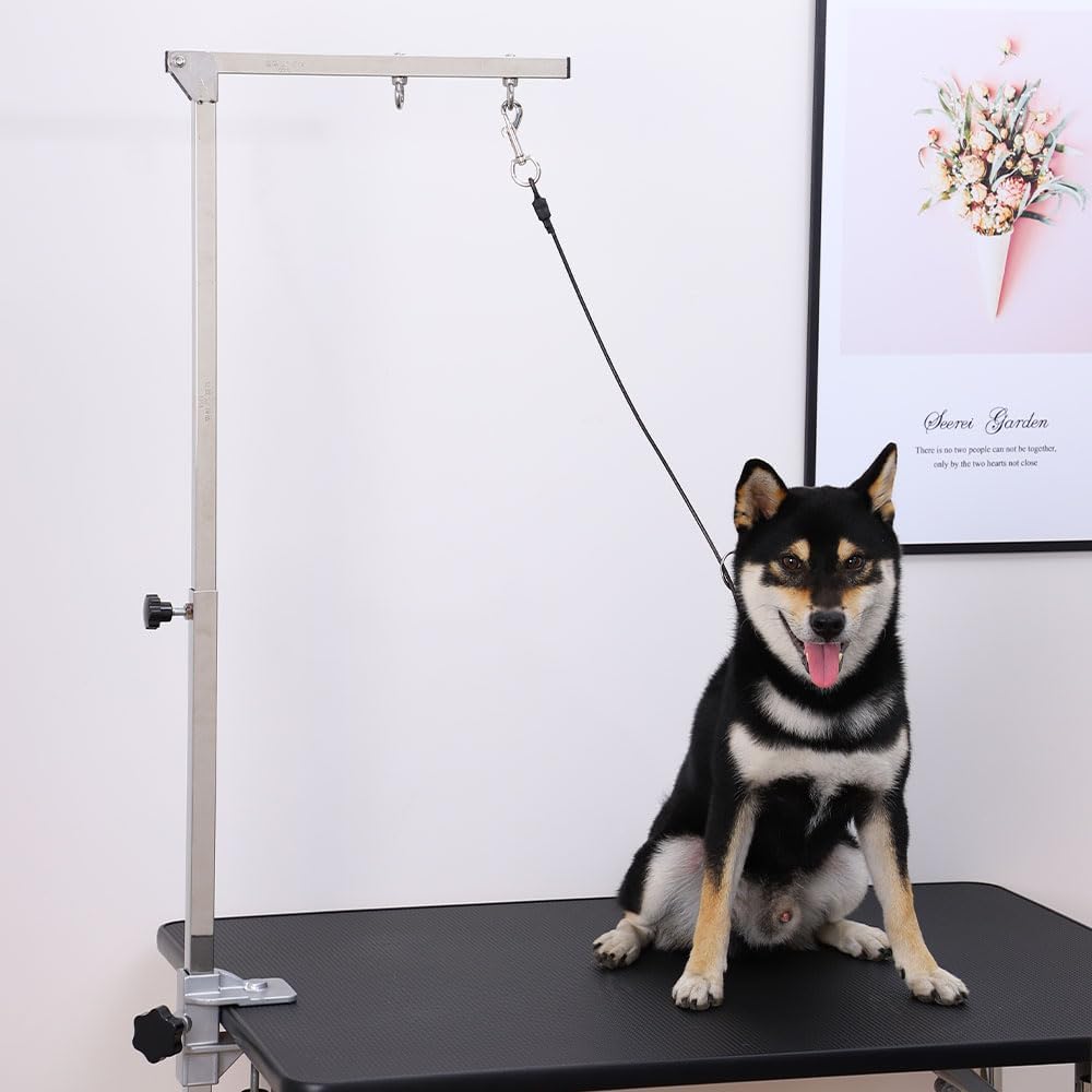 Pet Grooming Loop for Dogs - Fits Most No Sit Haunch Holder Pet Grooming Tubs and Tables Sturdy Steel Wire Rope(3 Packs) (Ring (Black)+No Sit Haunch Holder)