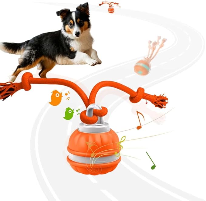 Interactive Dog Toys, Squeaky Dog Toys, Active Rolling Ball by OYSMY-houseofselection