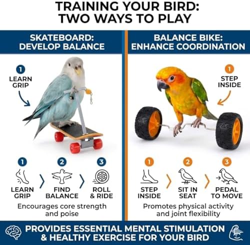 Bird Training Toys Set, 2 Piece Skateboard and Balance Bike for Parrots, Balance Training Accessories (Orange Wheel Core)