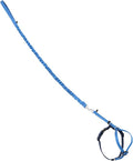 PetSafe Come With Me Kitty Cat Harness & Bungee Leash by PetSafe