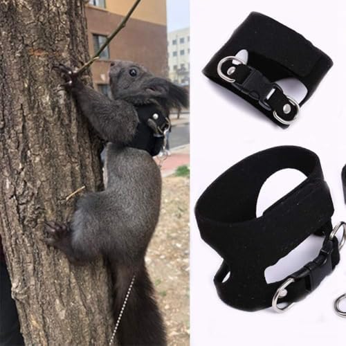 3 Pack Squirrel Harness and Leash Set - Adjustable Traction Rope Strap Anti-Biting Chain,Small Animal Training Walking Vest Leash for Squirrel Gerbil Chinchilla Rat (Black, 3 Pack(S/M/L))