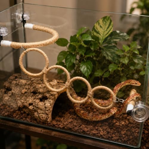 Snake Climbing Perch with 4 Rings and 3 Suction Cup Terrarium Mounts