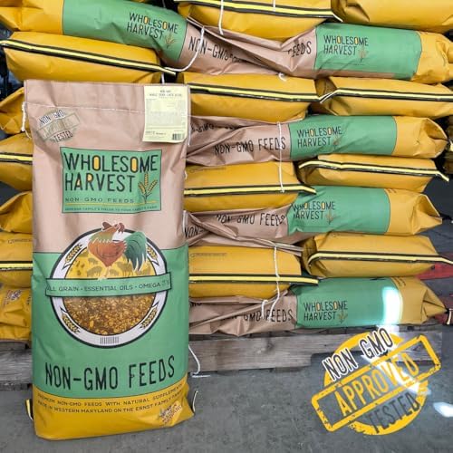 Non-GMO Scratch Grain for Chickens & Livestock – 40 lb Bag of Barley, Corn & Wheat | Wholesome Chicken Feed Supplement & Foraging Treat | Soy-Free, Family Farm Grown