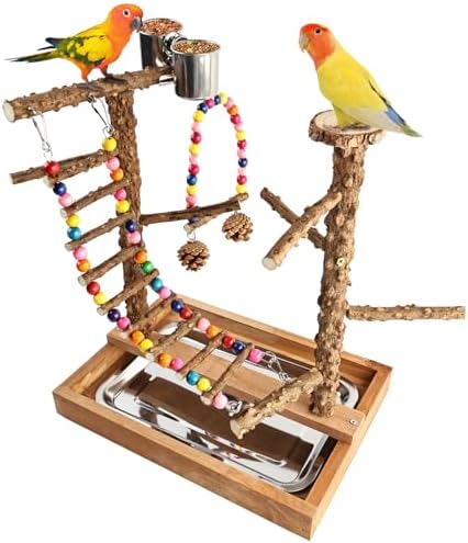 GUTE Bird Perch Stand Playground Natural Wood for Cockatiel Budgie
