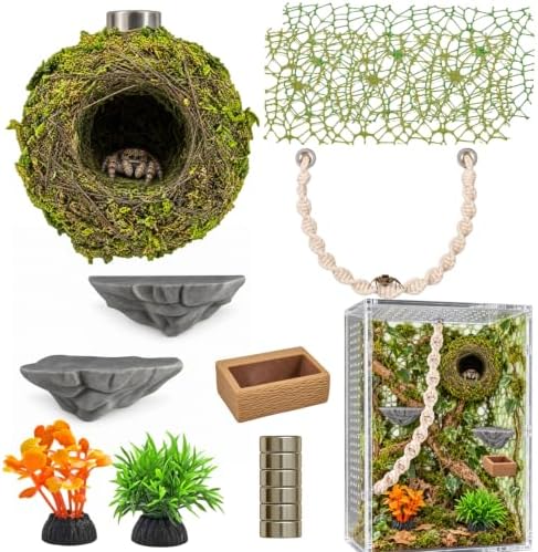 Jumping Spider Enclosure Accessories Kit Natural Habitat