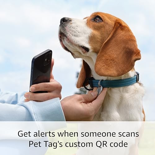Ring Pet Tag | Easy-to-use tag with QR code | Real-time scan alerts | Shareable Pet Profile | No subscription or fees | 2-pack