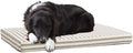 Barkbox Orthopedic Dog Bed | Comfortable Memory Foam Mattress by BARK