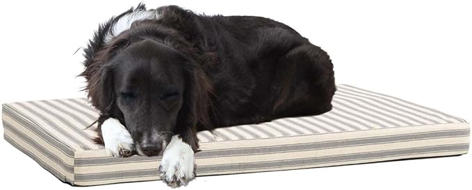 Barkbox Orthopedic Dog Bed | Comfortable Memory Foam Mattress by BARK