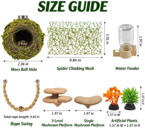 Jumping Spider Enclosure Accessories Kit with Moss Hide and Web