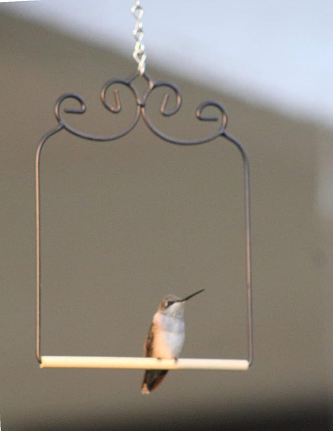 2 Pack Hummingbird Swing Metal Frame Hummingbird Perch Wild Bird Swing - Image 5