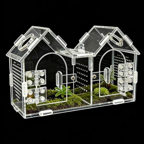 Jumping Spider Enclosure, Acrylic Terrarium with Partition Divider (1-2 Compartments), Dual Magnetic Doors & All-Side Ventilation, Jumping Spiders, Tarantulas, Mantis, GeckosHabitat, 9.6x4.2x5.8
