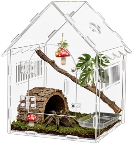 Acrylic Jumping Spider Enclosure 8x8x12 with Magnetic Lock