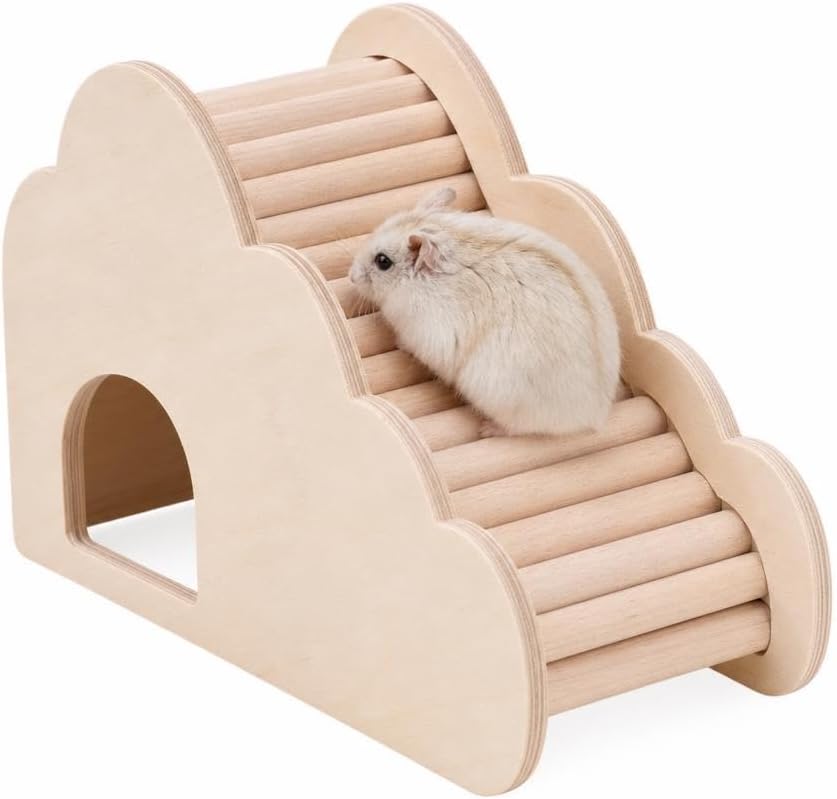 Hamster House and Hideout with Climbing Ladder