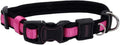 Coastal Pet - Coastal - Inspire Enhanced Core - Adjustable Collar by CoastalPet