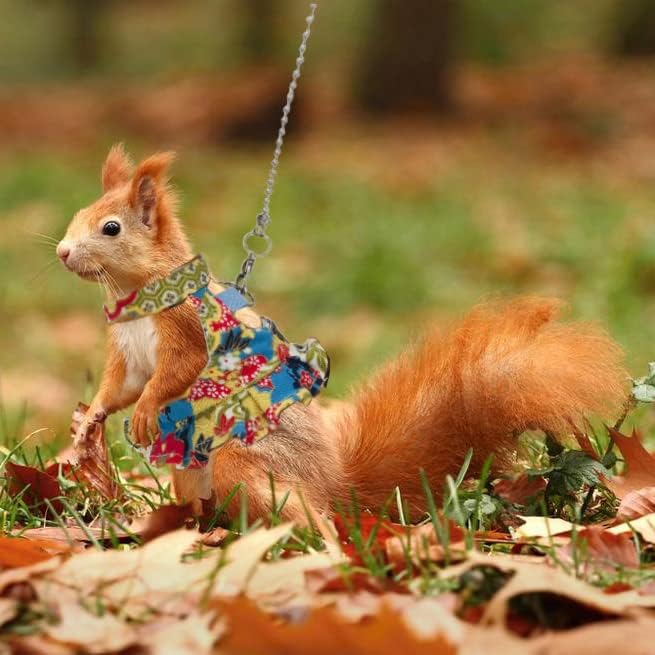 Squirrel Harness and Leash Set, Adjustable Flora Blue Printing, for Ferret, Squirrel, Dwarf Chinchilla, Guinea Pig, Fancy Rat