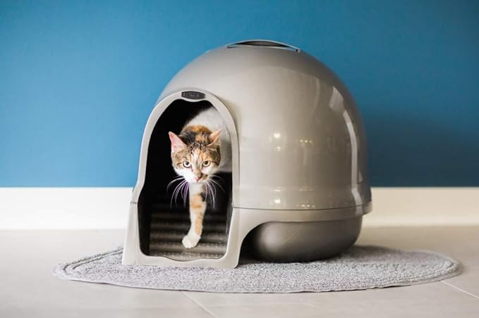 Petmate Booda Clean Step Cat Litter Box Dome- Pearl White, Made in USA - Image 2