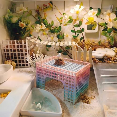 Hermit Crab Climbing Hideout, Stackable Platform Habitat Accessory