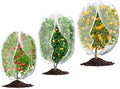 3Pcs Plant Covers from Insects, 3Size Bird Netting Barrier by Waybas