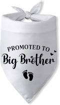 Promoted to Big Brother Pregnancy Announcement Dog Bandana Baby Announcement by PwrlveiutforYou