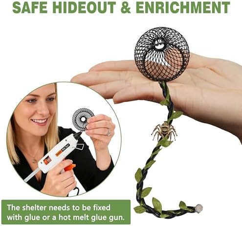 Jumping Spider Enclosure Accessories Kit, 14Pcs Spider Tank Decor Set with Hide, Plants, Moss, Ledge & Tools for Tarantula Habitat Decor（The Product Does not Include a breeding Box.）