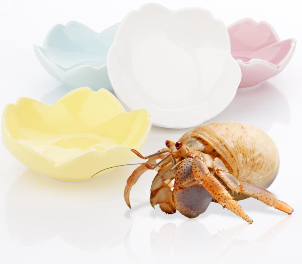 4 Pack Ceramic Food & Water Bowls Dual Dish Reptile Feeding Set for Hermits Crabs, Lizards, Geckos, Small Snakes and Snails