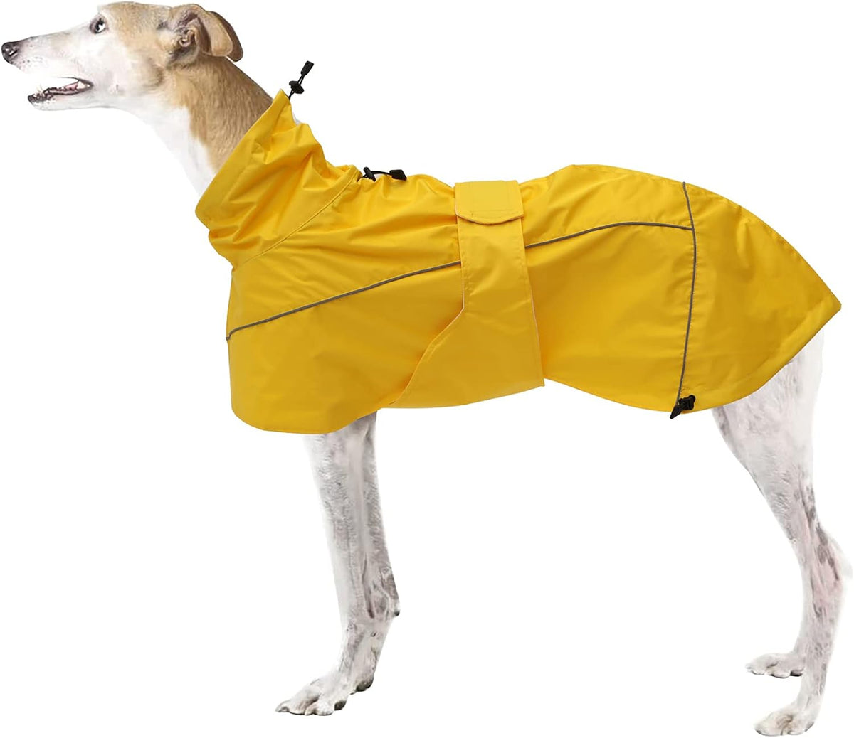 Greyhound Lurcher Raincoat, Whippet Rain Gear with Reflective Bar, Rain/Waterproof, Adjustable Bands and Drawstring in Autumn and Winter - Red - S