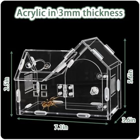 Acrylic Jumping Spider Enclosure House-Shaped Terrarium