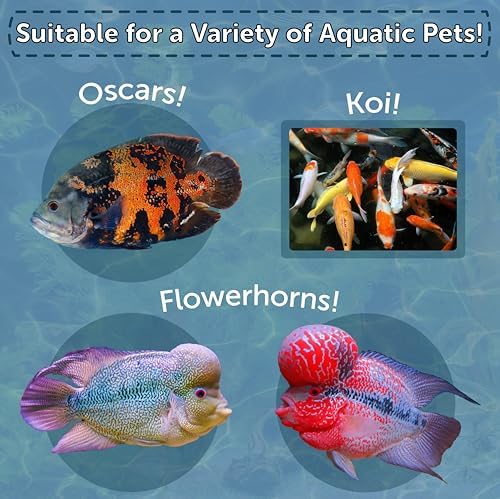 Arctic Krill, Freeze Dried Krill, High in Natural Color Enhancing for Large Cichlids, Tropical Fish, Koi, Turtles, 12-Type Pellet Mix & 4-Type Wafer Mix Included 0.95oz Canister