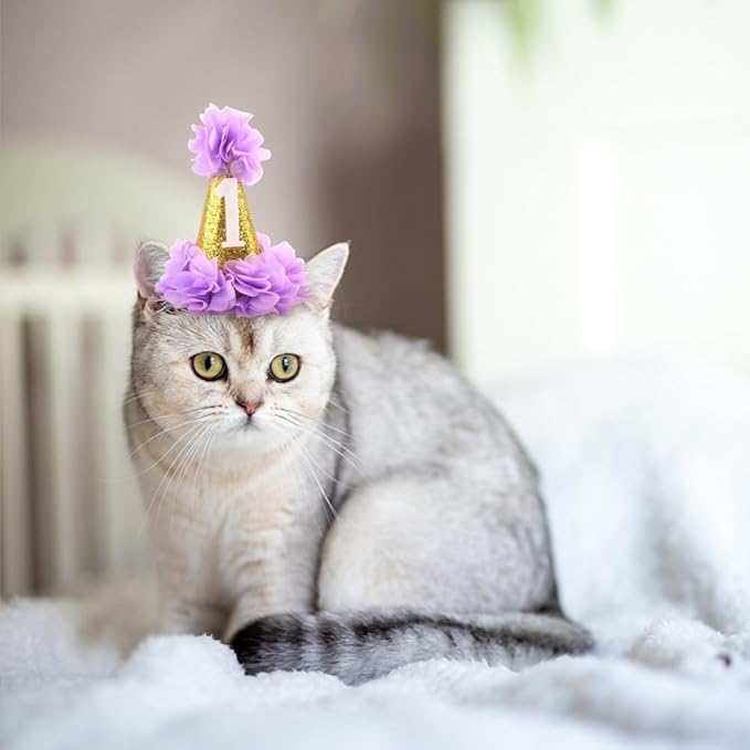 Stock Show 1st Pet Birthday Cone Hat Dogs Cats Holiday Party Hat Headwear - Image 5