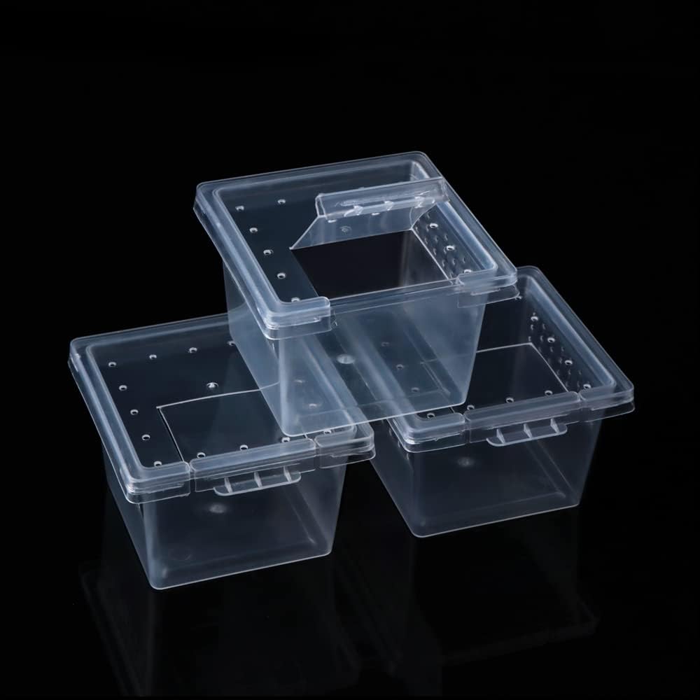 DQITJ 20 Pcs Spider Terrariums Breeding Box Hatching Container Acrylic Feeding Box for Small Reptile Scorpion Centipede Insect (Small Size)