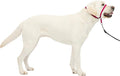 PetSafe Gentle Leader Headcollar No-Pull Dog Collar by PetSafe