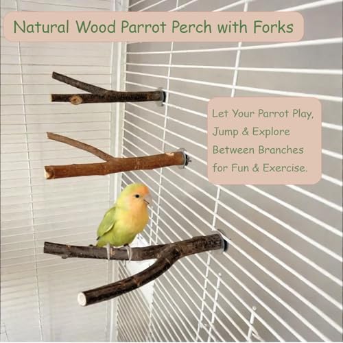 4 Pack Bird Perches for Cage with Natural Wood, ROOJUNE Bird Cage Accessories Bird Perch Platform for Small Medium Parakeets Parrots Conures Cockatiels Finches Lovebirds