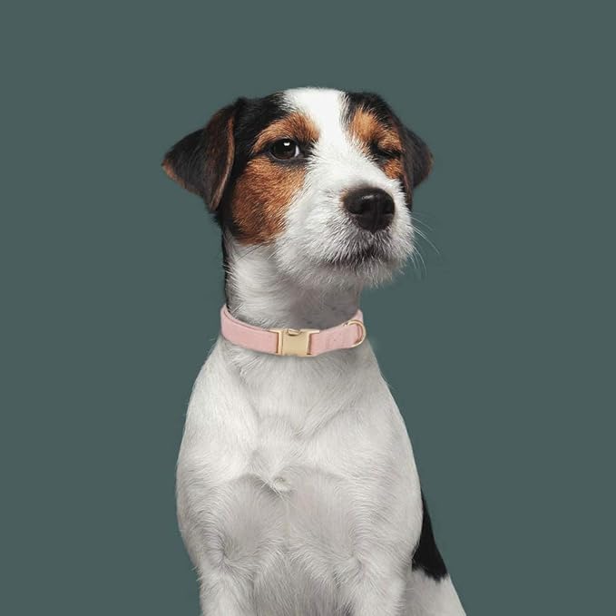 Soft Cotton Dog Collar with Metal Buckle Adjustable Heavy Duty Comfy Corduroy - Image 5