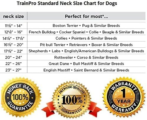 Universal 27 ½” X ¾” Replacement Band Strap - Image 6