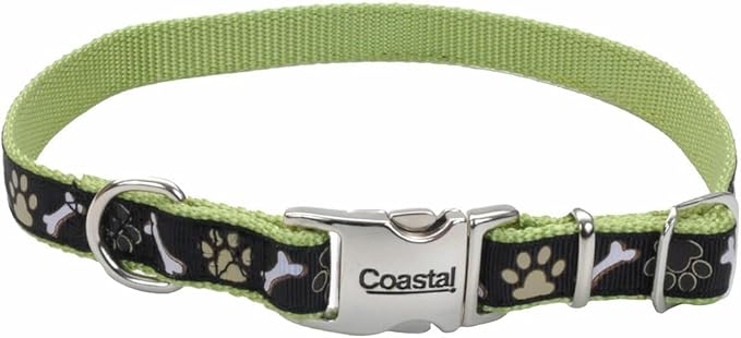 Coastal Pet - Ribbon - Adjustable Dog Collar by CoastalPet