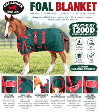 Challenger 1000D Miniature Weanling Donkey Pony Horse Foal Winter Blanket 519101B