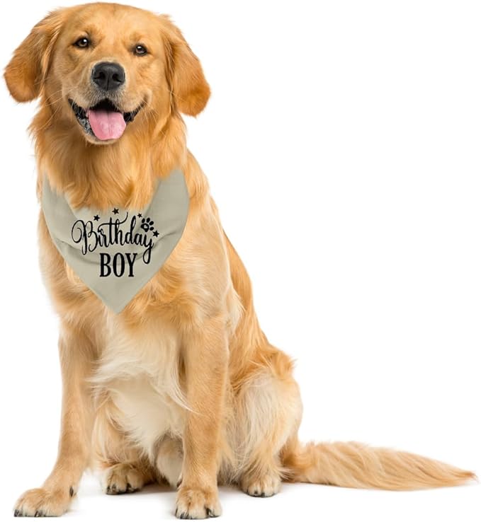 A19 Birthday Dog Bandana - Image 4