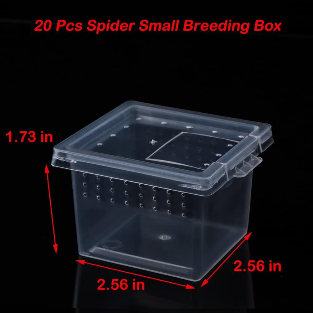 DQITJ 20 Pcs Spider Terrariums Breeding Box Hatching Container Acrylic Feeding Box for Small Reptile Scorpion Centipede Insect (Small Size)