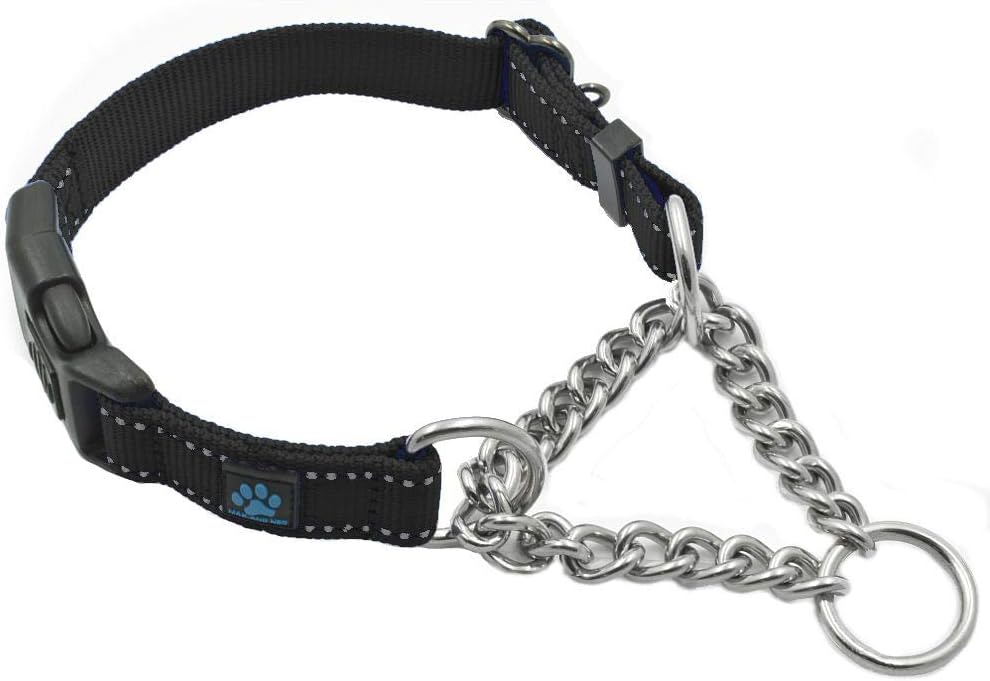 Max and Neo Stainless Steel Chain Martingale Collar - We Donate to a Dog Rescue for Every Collar Sold (Medium, Orange)