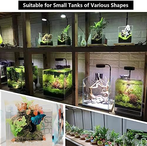 AREPK Aquarium & Terrarium Light Full Spectrum LED, Timer Auto On/Off, for Under 3 Gallon Fish Tanks, Betta Tanks, Moss, Succulents, Carnivorous Plants, Miniature Landscapes
