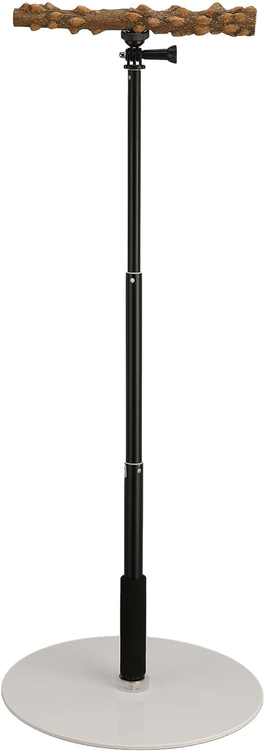 Dioche Bird Carrier with Perch - Detachable Play Stand for Indoor & Outdoor Use, Free Height Adjustment, Acrylic and Pepper Wood, Sturdy, 30cm - 94cm
