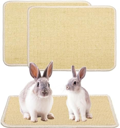 KABASI 2PCS Rabbit Scratcher Mat, Natural Bunny Chew Toys Scratching Pad